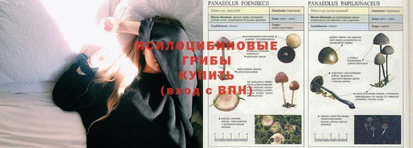 кокаин VHQ Богородицк