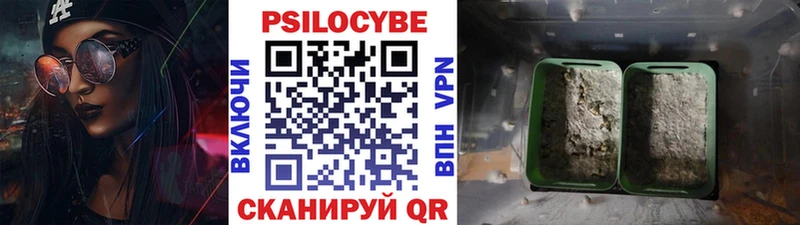 Псилоцибиновые грибы мицелий  Наро-Фоминск 
